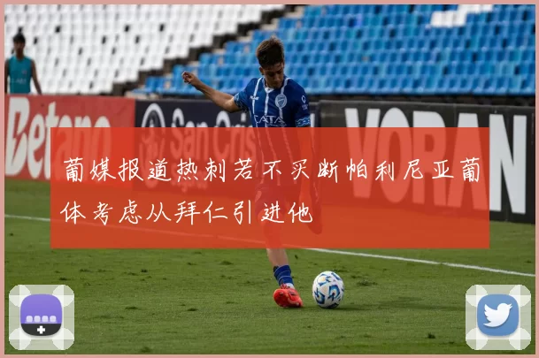 葡媒报道热刺若不买断帕利尼亚葡体考虑从拜仁引进他