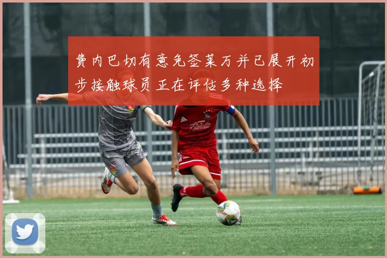 费内巴切有意免签莱万并已展开初步接触球员正在评估多种选择